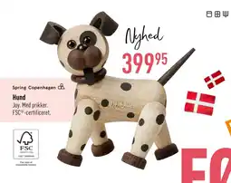 Hund