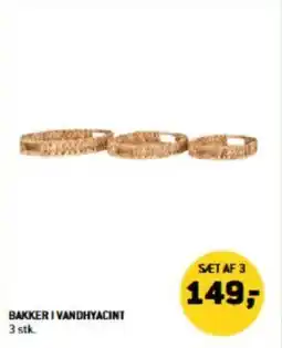 BAKKER I VANDHYACINT