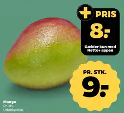 Netto Mango tilbud