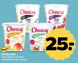 Cheasy skyr
