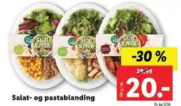 Lidl Salat- og pastablanding tilbud