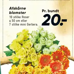Bilka Afskårne blomster tilbud