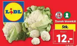 Lidl Dansk blomkål tilbud