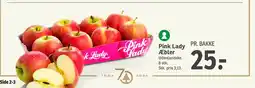 Pink Lady Æbler