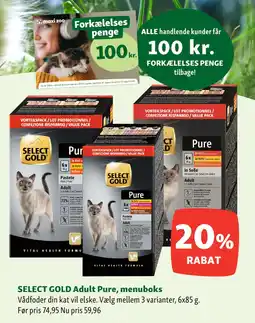 Maxi Zoo SELECT GOLD Adult Pure, menuboks tilbud