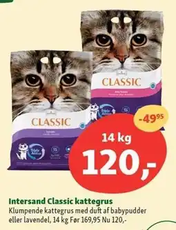 Maxi Zoo Intersand Classic kattegrus 14 kg tilbud