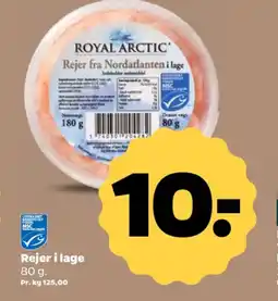 Netto Rejer tilbud