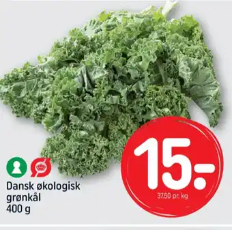 REMA 1000 Grønkål tilbud