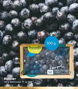 Bilka Blåbær tilbud