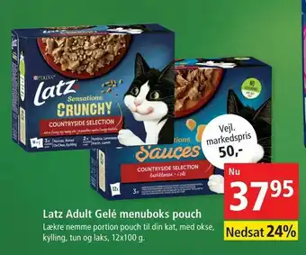Maxi Zoo Latz Adult Gelé menuboks pouch tilbud