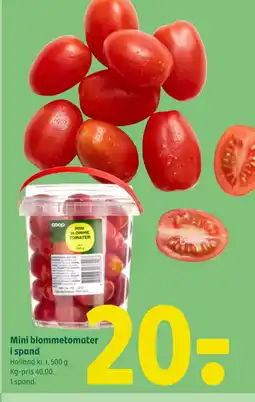 Coop 365 Mini blommetomater i spand tilbud