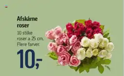 Føtex Afskårne roser 10 stilke roser a 25 cm. Flere farver. tilbud
