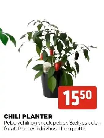 jem & fix Chili planter tilbud