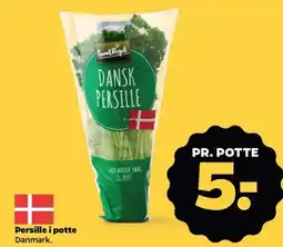 Netto Persille i potte Danmark. tilbud