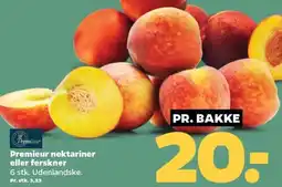 Netto Premieur nektariner eller ferskner tilbud