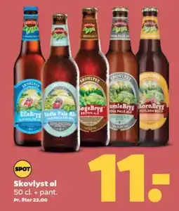 Netto Skovlyst øl tilbud