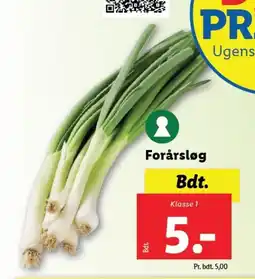 Lidl Forårsløg tilbud