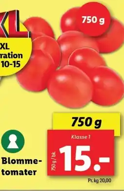 Lidl Blomme- tomater tilbud