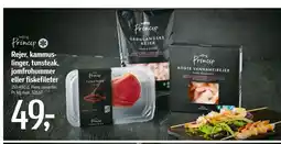 Føtex Rejer, kammuslinger, tunsteak, jomfruhummer eller fiskefileter tilbud