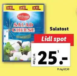 Lidl Salatost tilbud