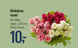 Føtex Afskårne roser tilbud