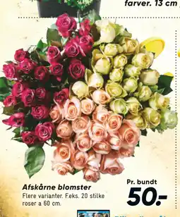 Bilka Afskårne blomster tilbud