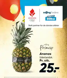 Bilka Ananas tilbud