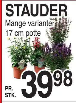 ABC Lavpris STAUDER tilbud