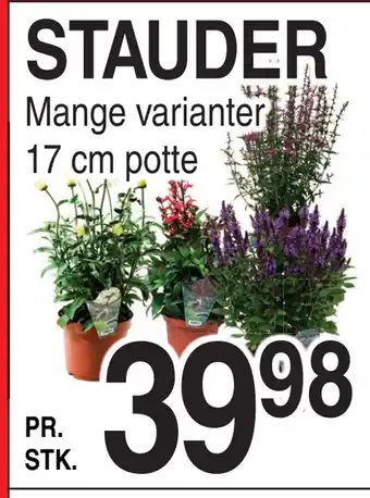 ABC Lavpris STAUDER tilbud