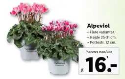 Lidl Alpeviol tilbud