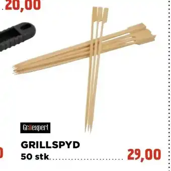 Grillspyd