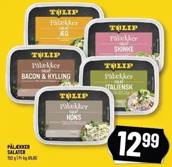 Løvbjerg TULIP PÅLÆKKER SALATER tilbud