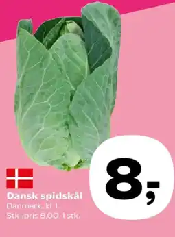 Spidskål
