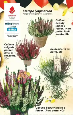 Bilka Planter tilbud