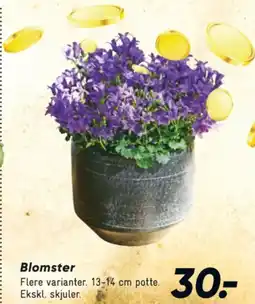 Bilka Planter tilbud