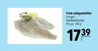 Frisk rødspættefilet