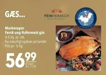 Citti Markeruper Fersk ung Hafermast gås tilbud