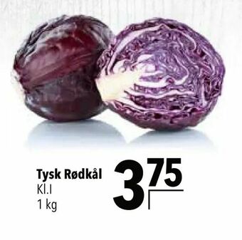 Tysk Rødkål