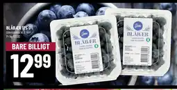 Løvbjerg BLÅBÆR 125 G tilbud