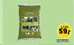 XL-BYG LEAF PLÆNEGRÆS tilbud