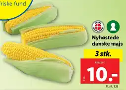 Majskolbe