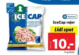 Lidl Rejer tilbud