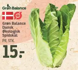 SPAR Grøn Balance Dansk Økologisk Spidskål tilbud