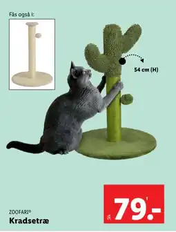 Lidl ZOOFARI Kradsetræ tilbud