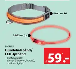 Lidl ZOOFARI Hundehalsbånd/ LED-lysbånd tilbud
