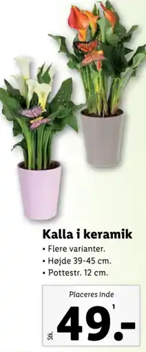 Lidl Kalla i keramik tilbud