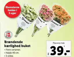 Lidl Brændende kærlighed buket tilbud