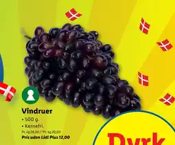Lidl Vindruer tilbud