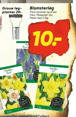 Bilka Blomsterløg tilbud