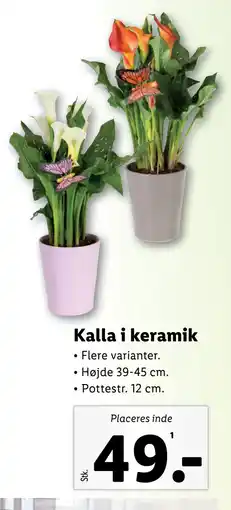 Lidl Kalla i keramik tilbud